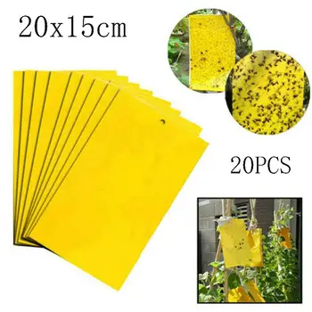 

20PC Sticky Fly Traps Paper 20*15CM Eliminate Flies Insect Bug House Tools Catcher Trap Fly Bug Buzz Fly Trap Device Garden Tool