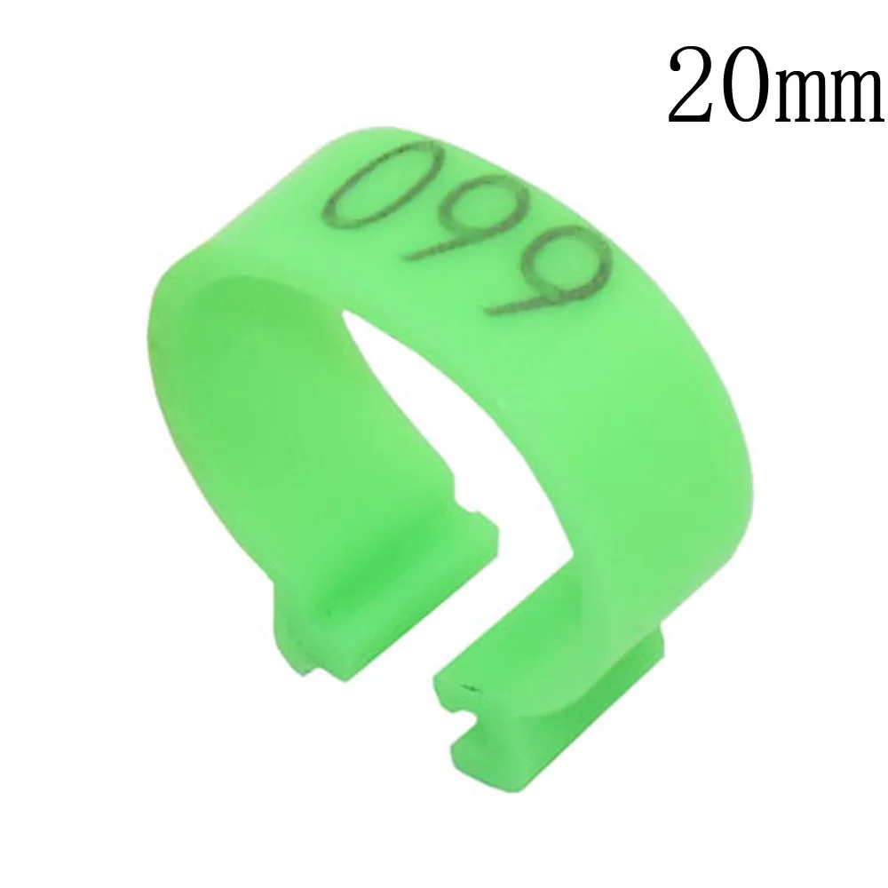 DSC_5466 - 副本 - 副本 (2)