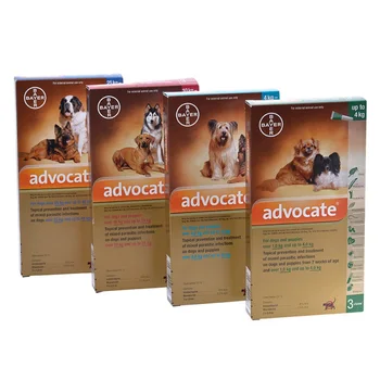 

Advocate for Dogs Fast Relief From Fleas Heartworm Intestinal Worms and Many Other Parasites
