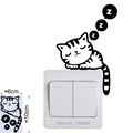007 Sleeping Cat