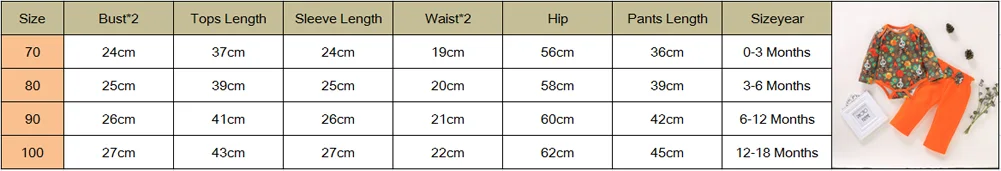 CANIS/Осенняя Одежда для новорожденных мальчиков и девочек, 2 предмета Ромпер на Хэллоуин с длинными рукавами и цветочным принтом, штаны, комплект одежды