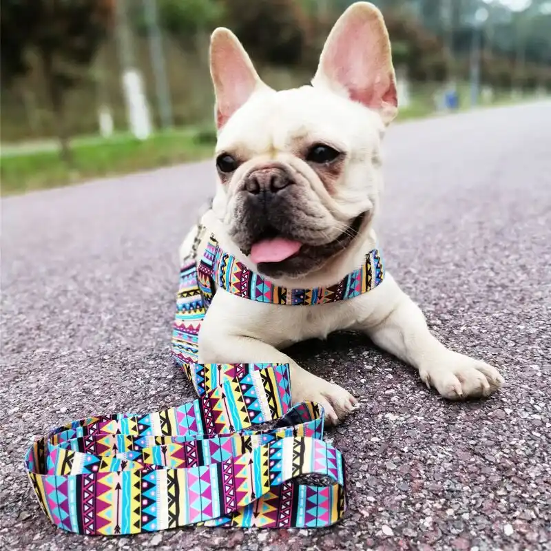 dog harness with handle for small dogs