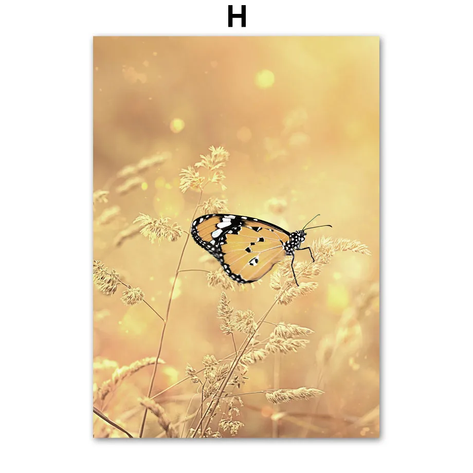 thumbnail image 1 of Cuadro sobre lienzo para pared, diseño de campo otoñal, mariposa, calabaza, carteles nórdicos abstractos e impresiones, imágenes para la decoración del hogar y la sala de estar, 1 of 5