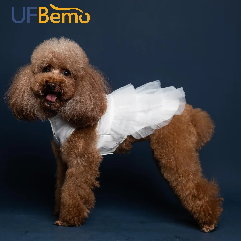 dog dress white main picture 2
