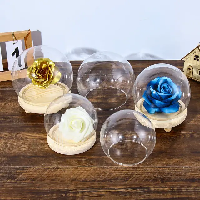 Spherical Glass Cloche Jar Display Stand Cover Terrarium Bottle with Wooden Base Acrylic Dust Cover Display Box Immortal Flower 2