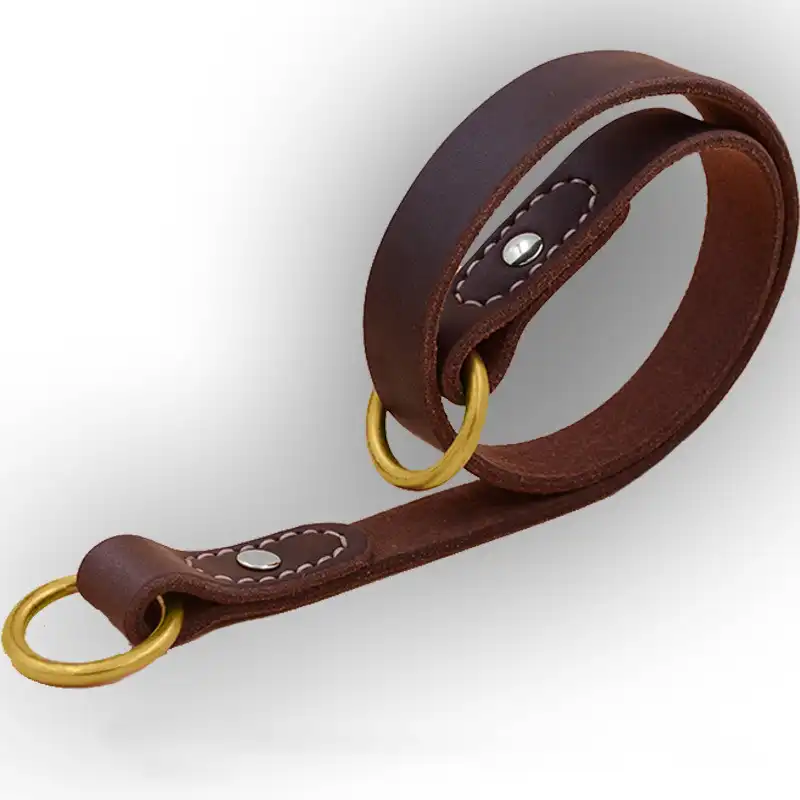 leather training collar