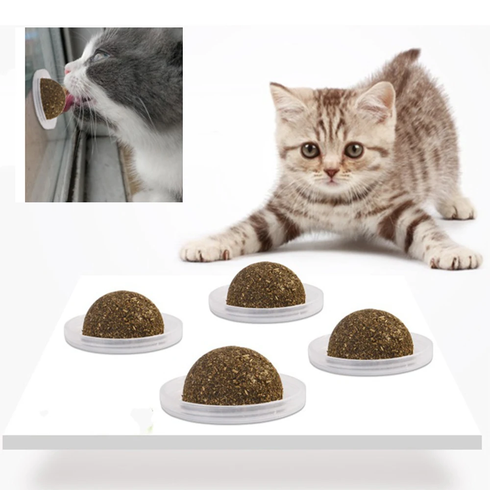 Кошачьи кошачьи игрушки для кошек съедобные мяты безопасные домашние товары