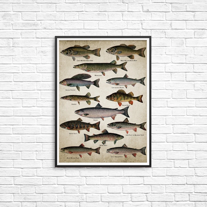 Fishing-Angling-Wall-Art-Canvas-Posters-Prints-Breeds-Of-Fish-Painting-Freshwater-Fish-Wall-Picture-for (4)