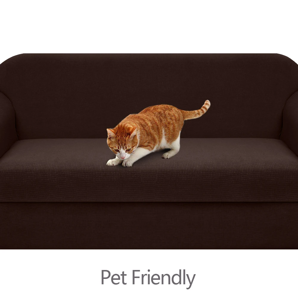 Pet Friendly