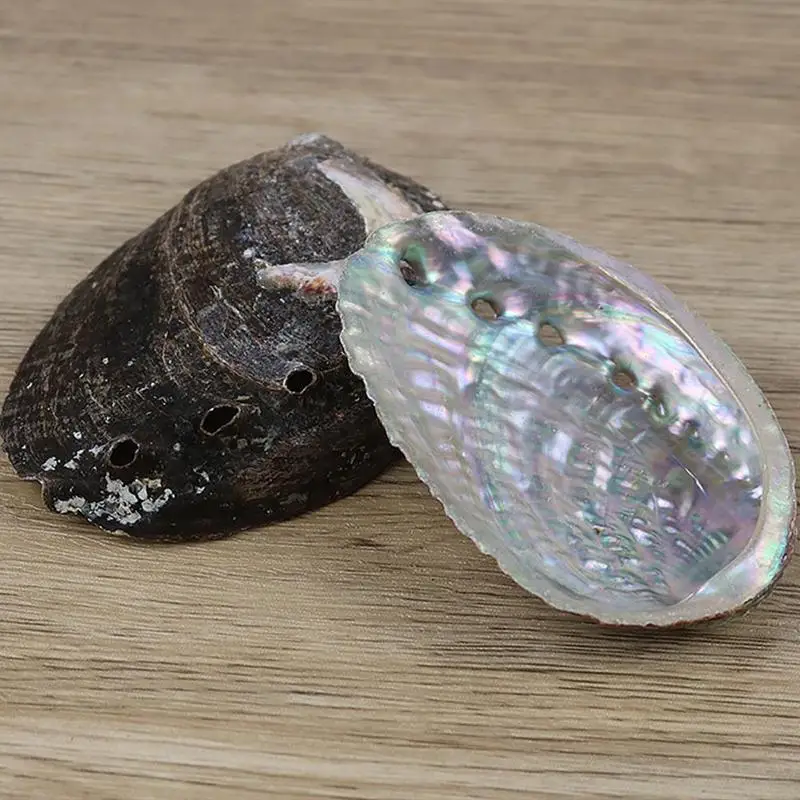 Natural Abalone Shell Large Sea Shells Nautical Home Decor Soap Dish Diy Fish Tank Aquarium Landscape Wedding Decor Abalone Shell Decor 10-12Cm