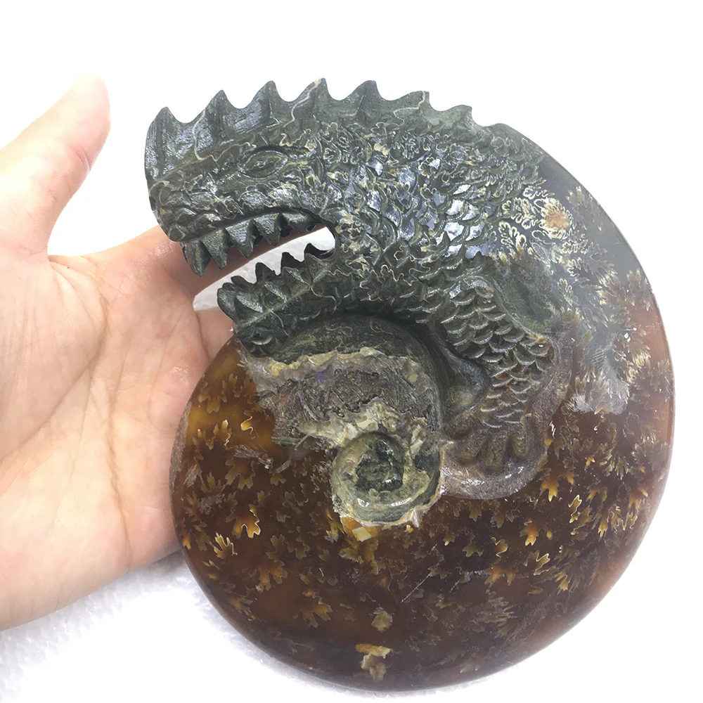 C2ED410103ABA869762D91E3B3884A9D