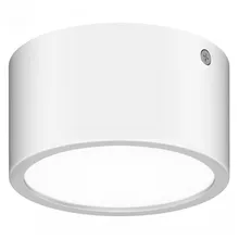 Светильник Lightstar Zolla 380164