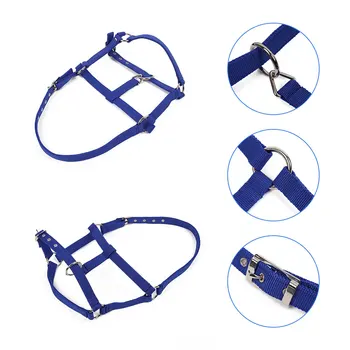 

Horse Riding Belt Bridle Adjustable Halter Headstall Horsing Accessory Red/Blue