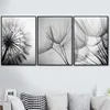 Abstract Dandelion Wall Art Canvas Painting Poster Modern Black White Life Quote Art Wall Print Picture Living Room Decor YX144 ► Photo 2/6