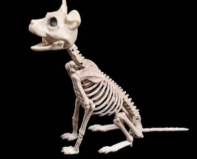 High quality Animal Skeleton toy Trinkets Halloween animal Skeleton decoration Bones house fashion artwork Party Decoration - Цвет: 19cm  89g