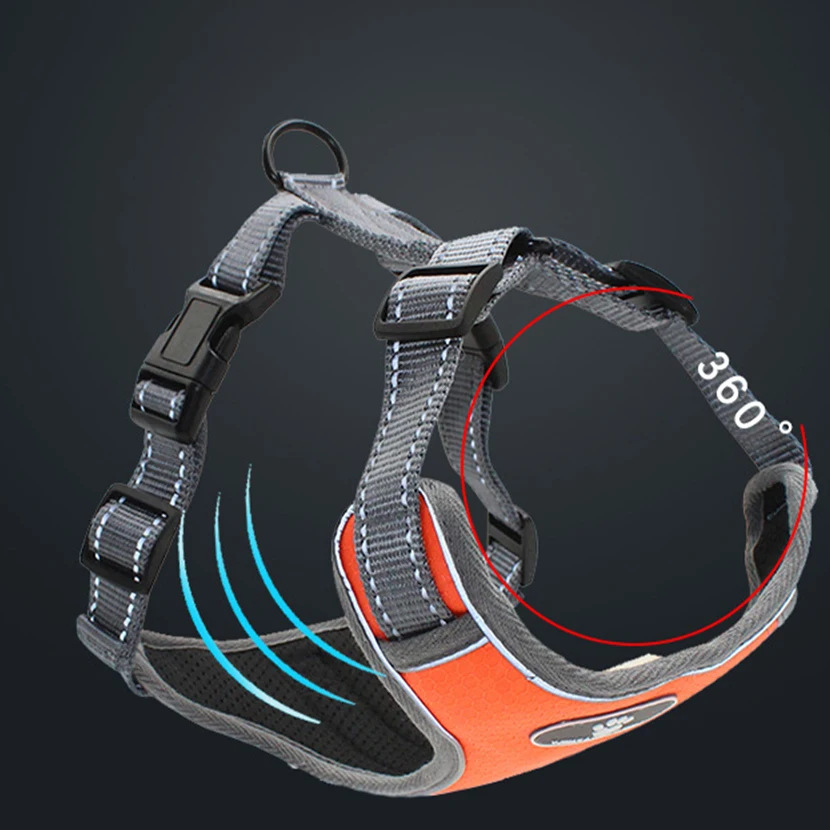 14861448475_1877549386