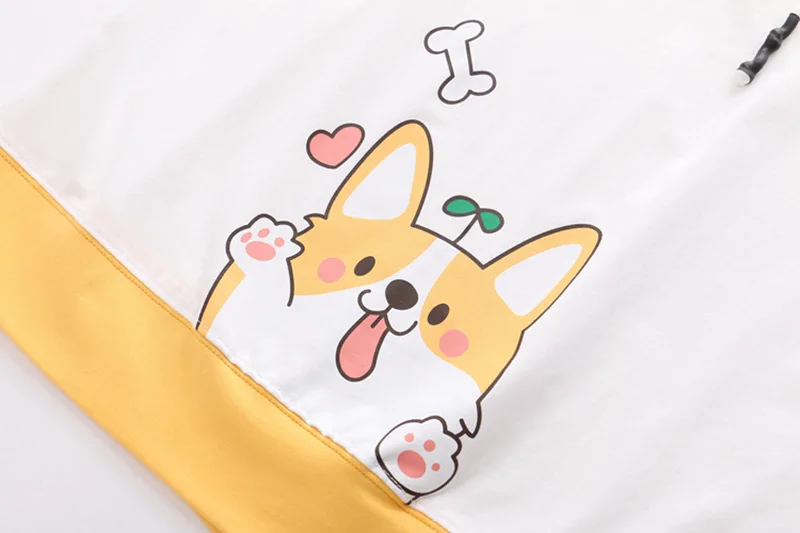窗口  (103).JPG