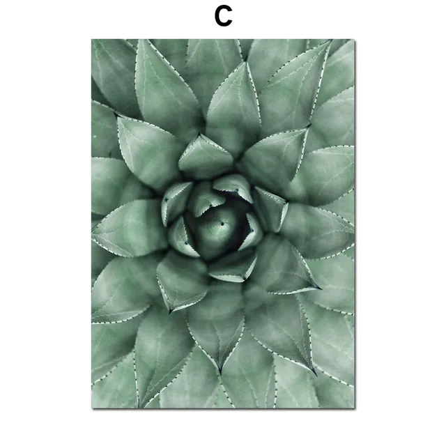 Aloe Succulents Monstera Green Plant Art Nordic Posters And Prints Wall Art Canvas Painting Wall Pictures For Living Room Decor C