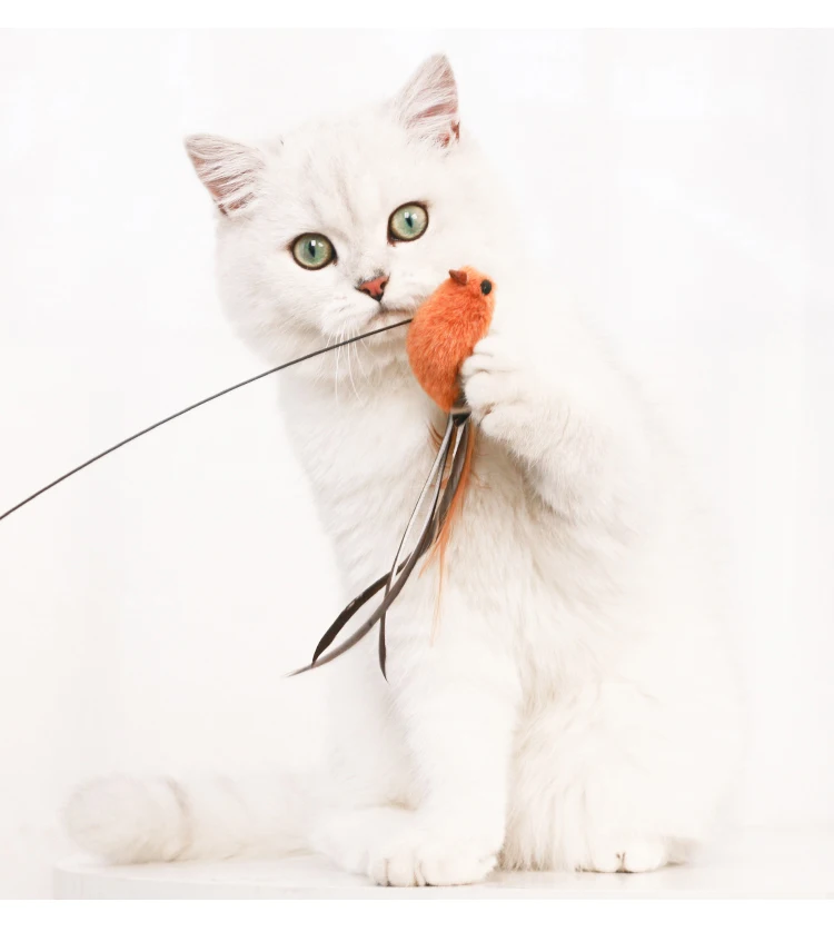 dog toys Simulation Bird interactive Cat Toy Funny Feather Bird with Bell Cat Stick Toy for Kitten Playing Teaser Wand Toy Cat Supplies herding ball for dogs