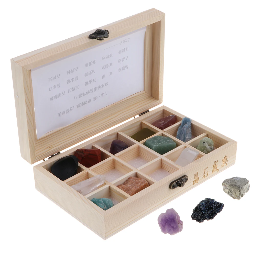 Educational Science Kit 15pcs Rock Mineral Collection in a Display Case