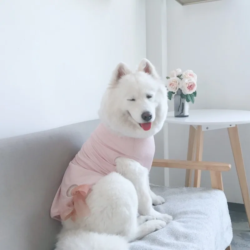 samoyed shirts