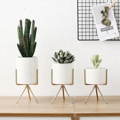 

INS Wind Northern European-Style Potted Plant Artificial Plant False Succulent Bonsai Living Room Decorative Flower Home Small O