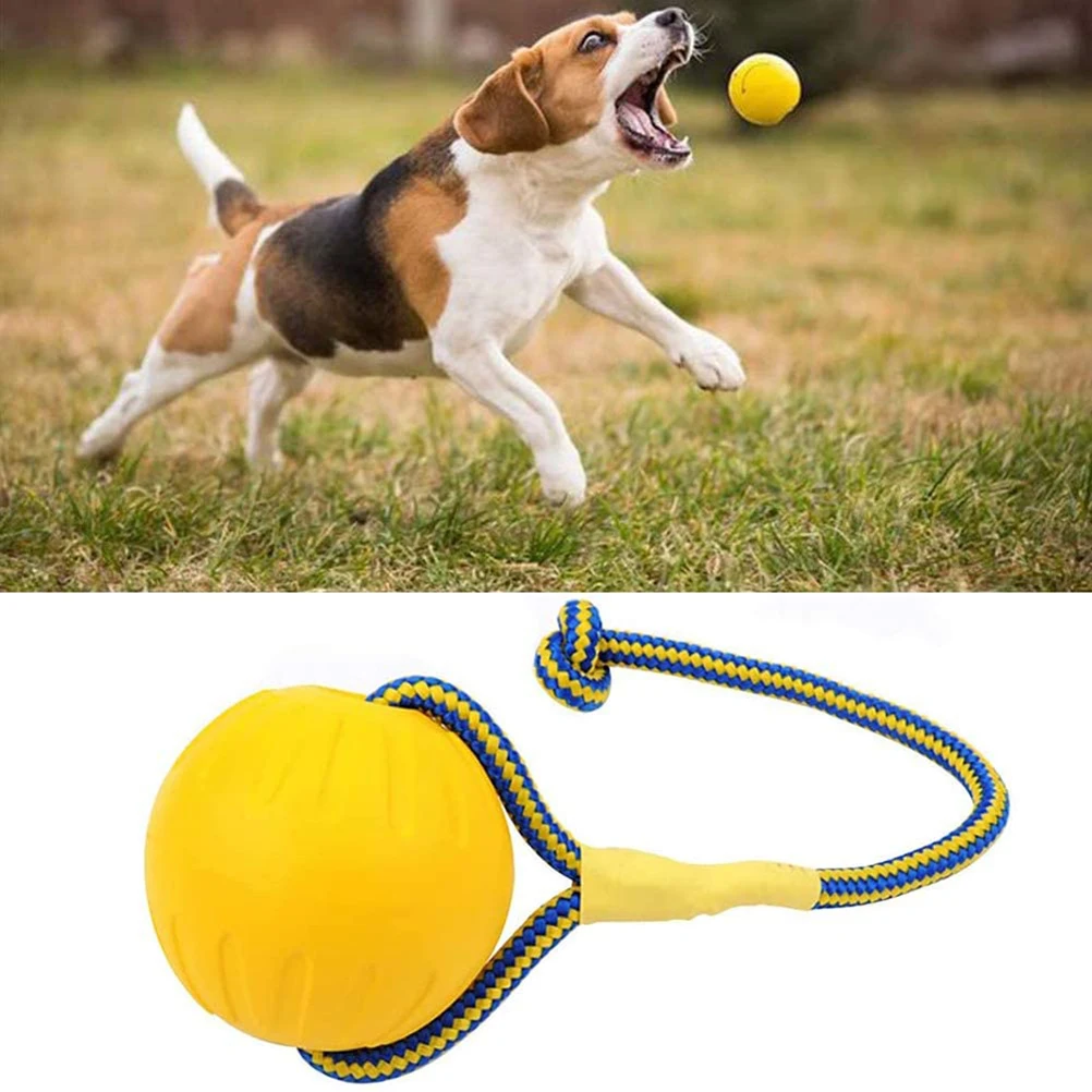 EVA Floating Pet Ball Puppy Bite Resistant Ball with Rope Pet Training