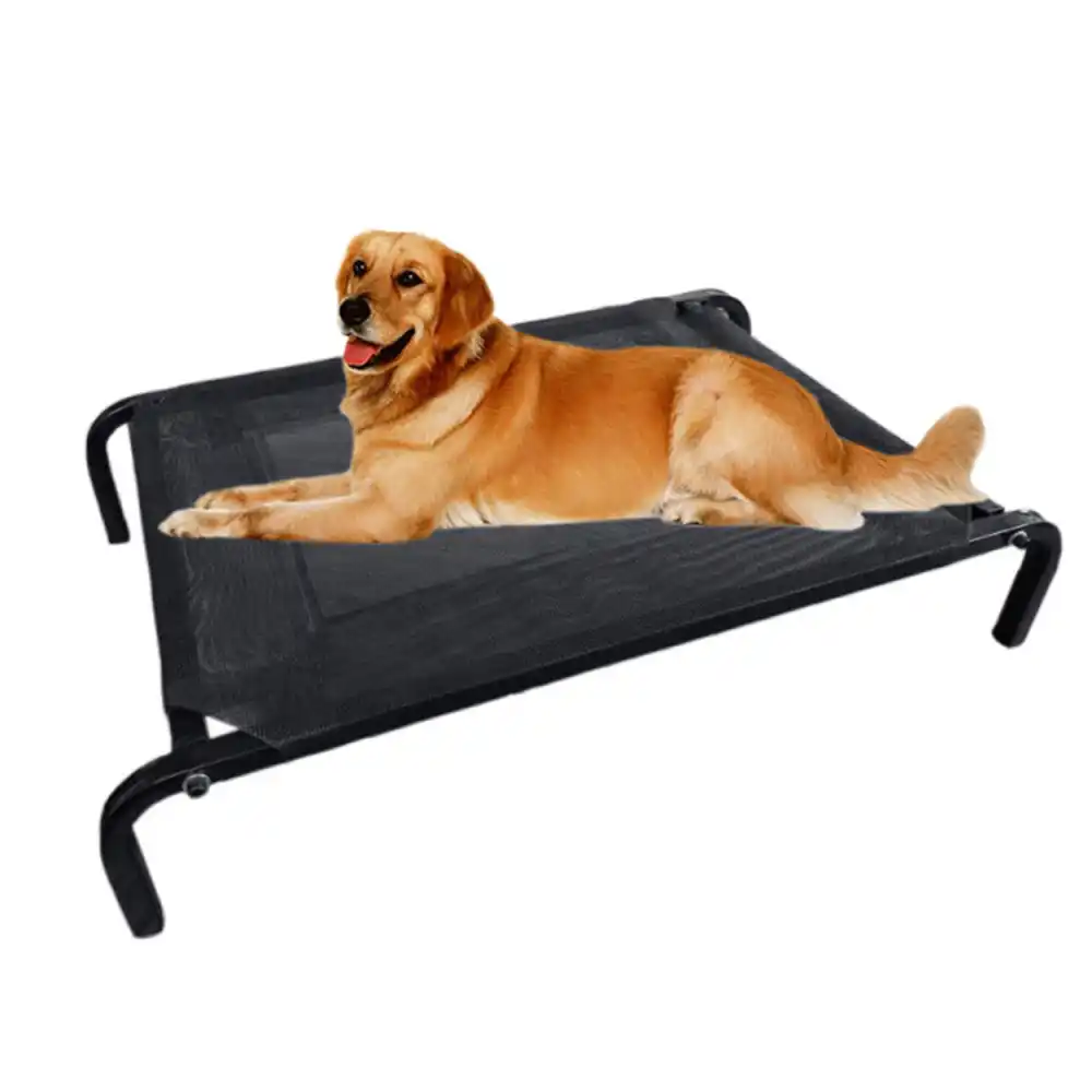 indoor dog bed