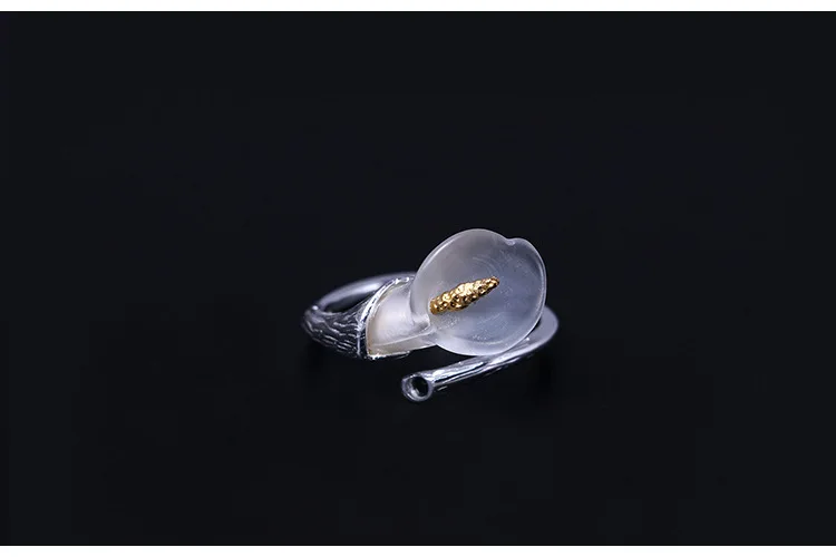 GS1360 European and American new 925 Sterling Silver Open Ring