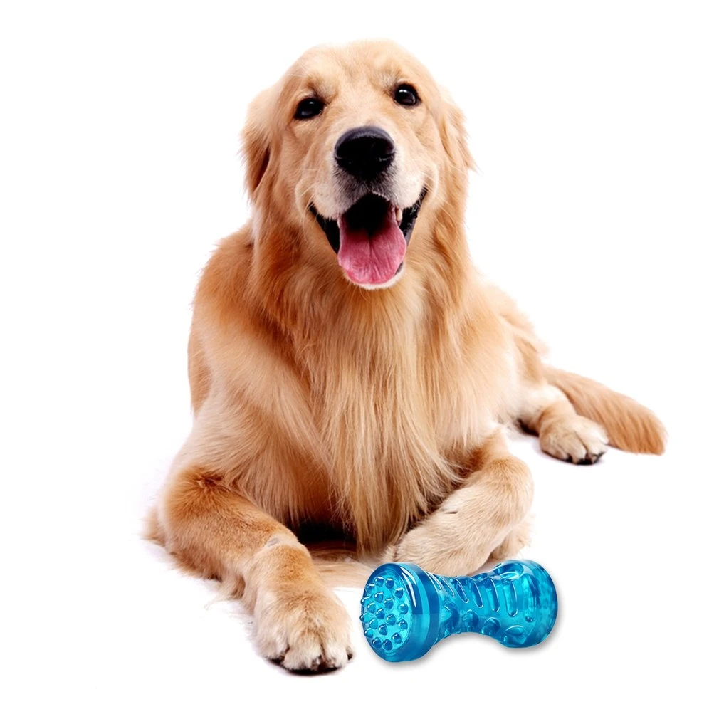 高品質のペットのおもちゃ 大型の犬の骨のおもちゃ ゴム製のペット 強力な音 耐引裂性 犬のおもちゃ Aliexpress