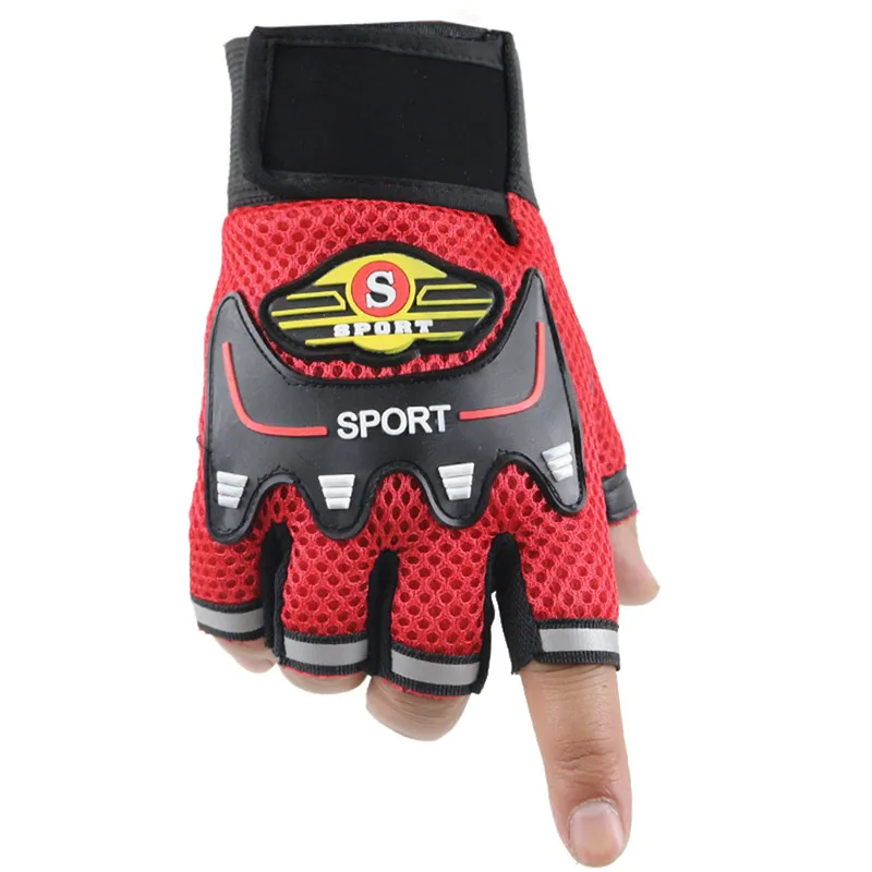 12 - LFY90531205_0252150891982443203