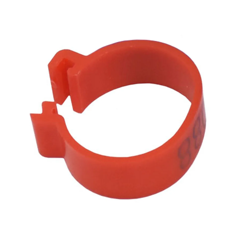 DSC_5466 - 副本 (5) - 副本