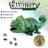 2.4G Remote Control Chameleon Lizard Pet Intelligent Electronic Parent Child Game Toy High Simulation Tail Swing Eat Insect Gift 2