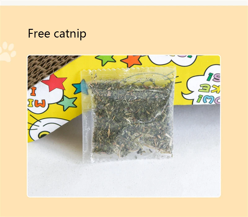 11922749545_609758398