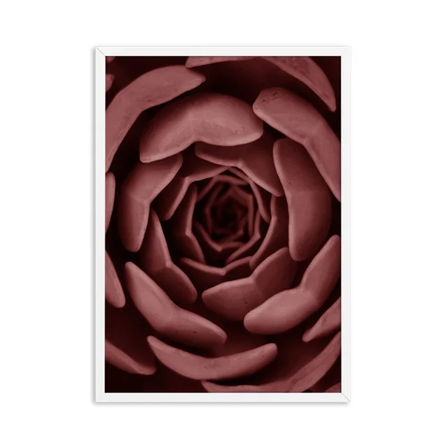 Red-Palm-Leaves-Flower-Succulent-Cuadros-Decoracion-Peony-Wall-Art-Canvas-Painting-Nordic-Poster-Wall-Decor.jpg_640x640 (2)