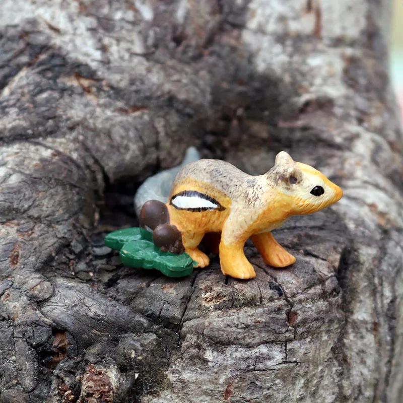 PL127-811小金花鼠