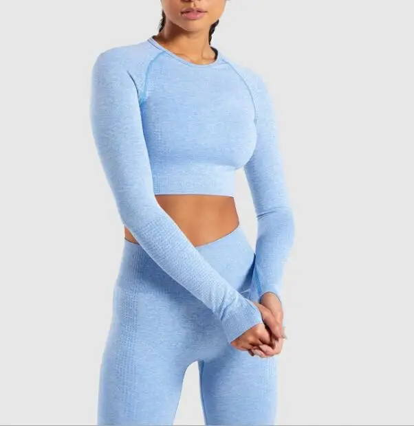 Женский бесшовный комплект для йоги, одежда для спортзала, леггинсы для фитнеса+ укороченные рубашки, спортивный костюм для женщин, спортивный костюм с длинным рукавом, одежда для активного отдыха - Цвет: CB121 blue set