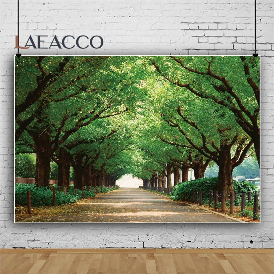 Laeacco Green Tree Array Park Straight Way Road Woodland Natural Scenic View Sfondo Fotografico Sfondo Fotografico Studio Fotografico