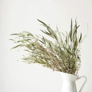 

5pcs ECO natural plants wedding home decor dried eucalyptus stems green plants branches