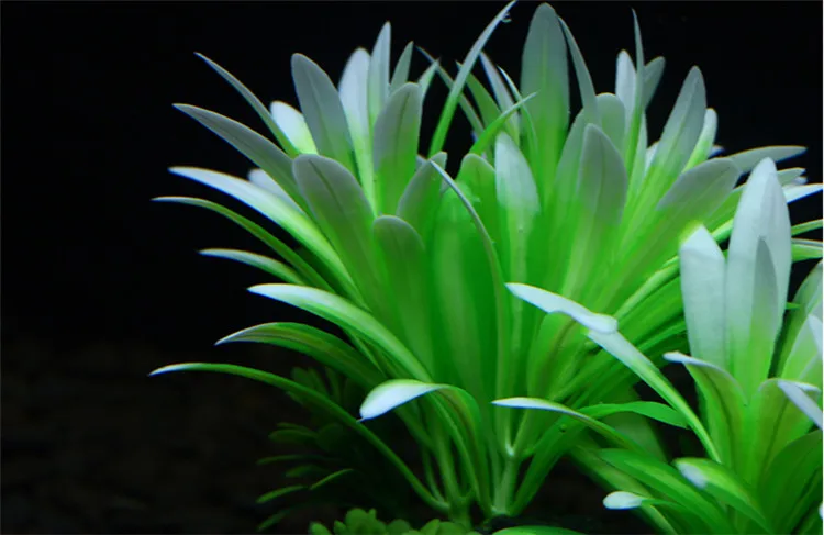 TB2Qx0TtYtlpuFjSspoXXbcDpXa_!!653062353