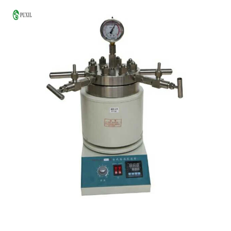 

Hydrothermal Synthesis Autoclave Reactor 250ml Tabletop High Pressure Stainless Steel Reaction Kettle