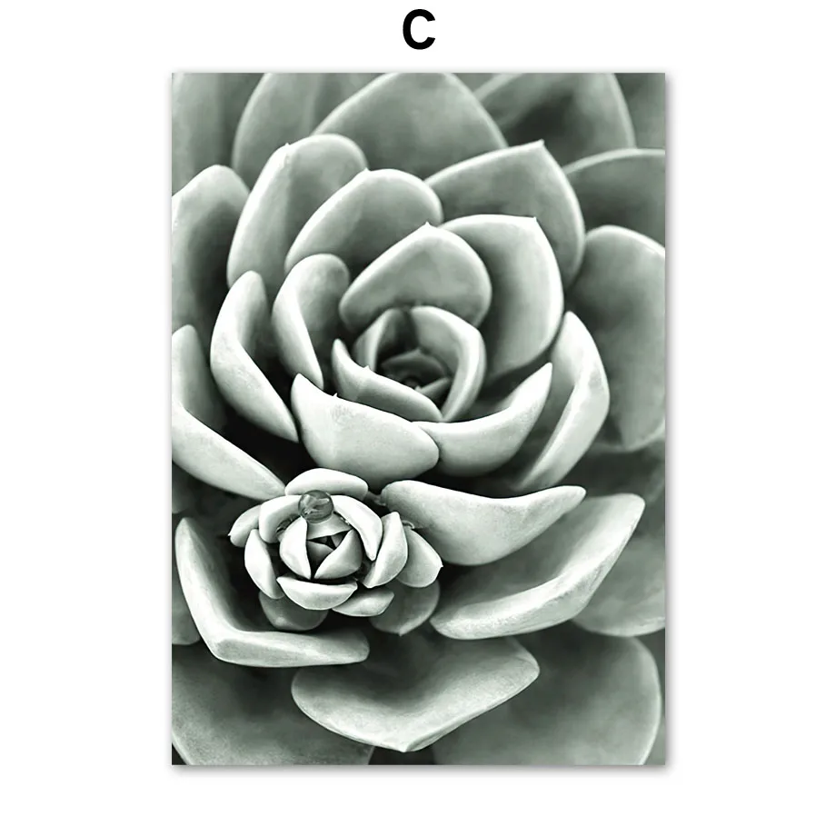 Grains-of-Sand-Arches-Grass-Reed-Palm-Cactus-Giraffe-Nordic-Poster-Wall-Art-Print-Canvas-Painting (5)