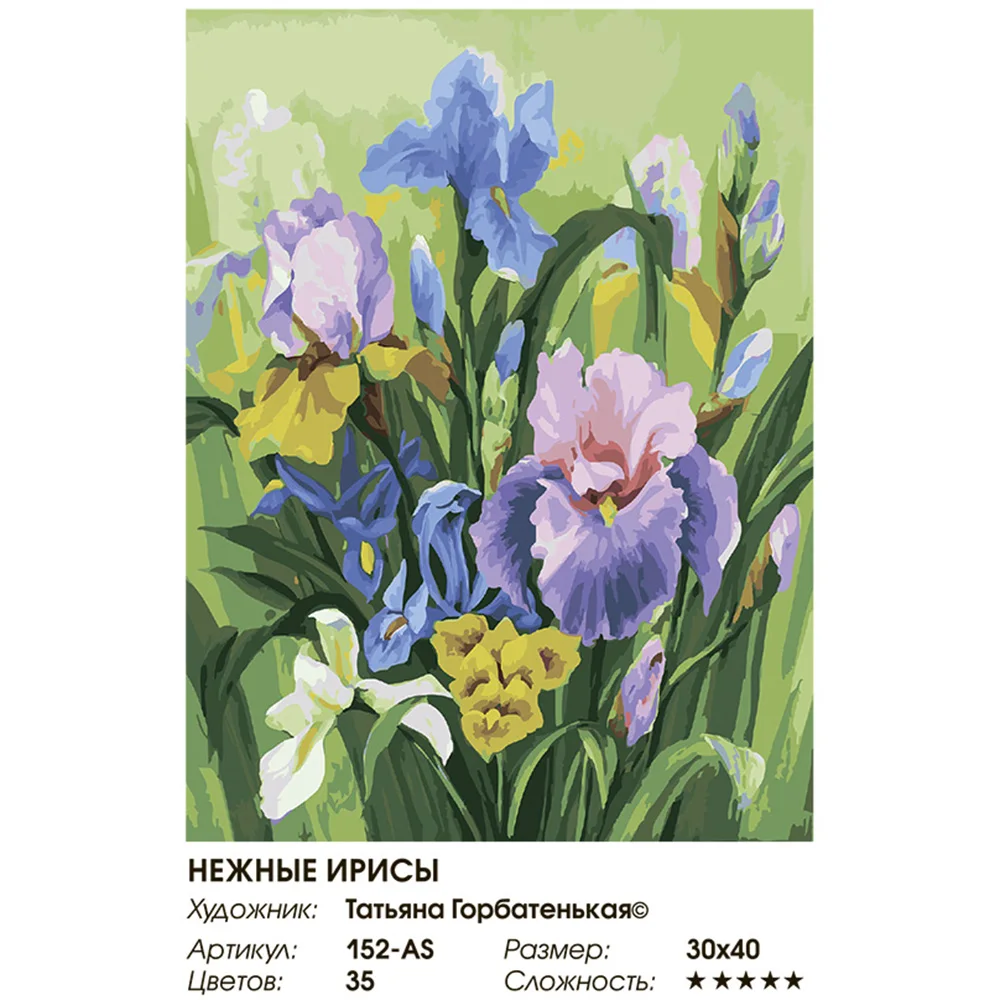 Живопись по номерам 30* 40 Белоснежка. Холст на подрамнике. Нежные ирисы