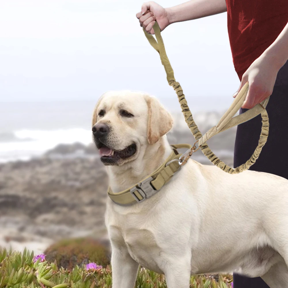 Tactical Dog Bungee Leash Nylon Military Dogs Training Leashes Elastic Dog Pet Lead Rope Large Pet Walking Ropes Bulldog