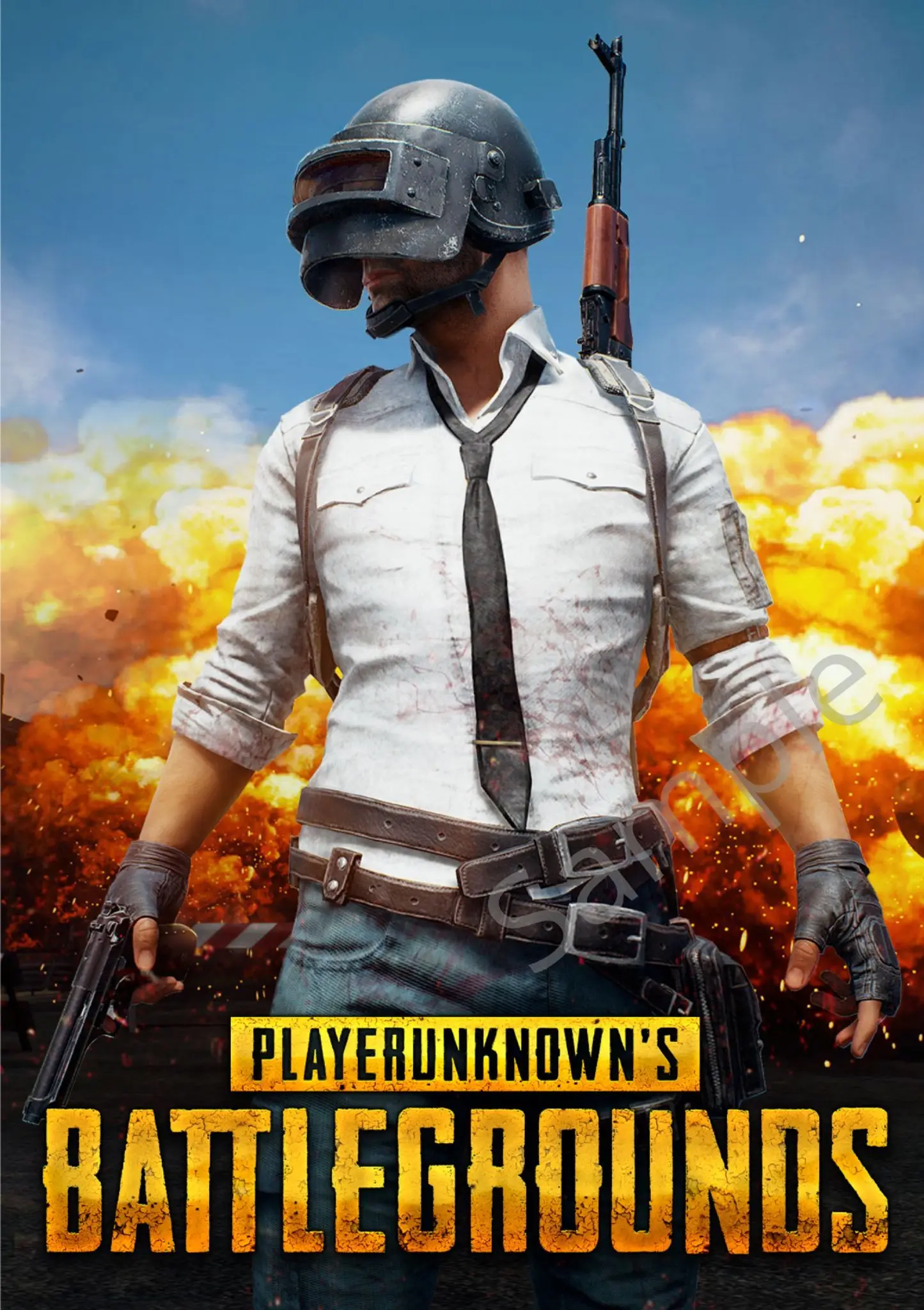 

Print silk or canvas video game PLAYERUNKNOWN'S BATTLEGROUND poster 16x24 24x36 living room bedroom hanging picture