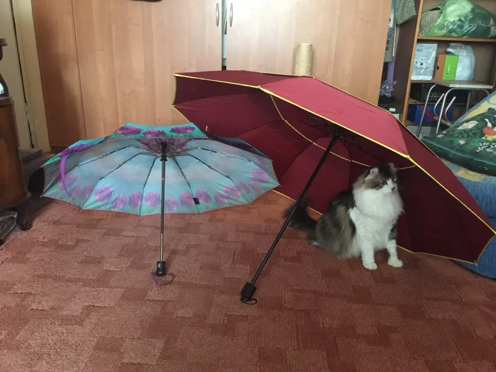 U6f28cf60828c49c2a9bc243fb8a9df45u