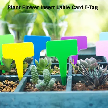 

100Pcs Garden Label Waterproof Plant Tags Insert Ground Card T-shaped Markers Nursery Pots Seedling Labels Tray Mark Tools #BL3