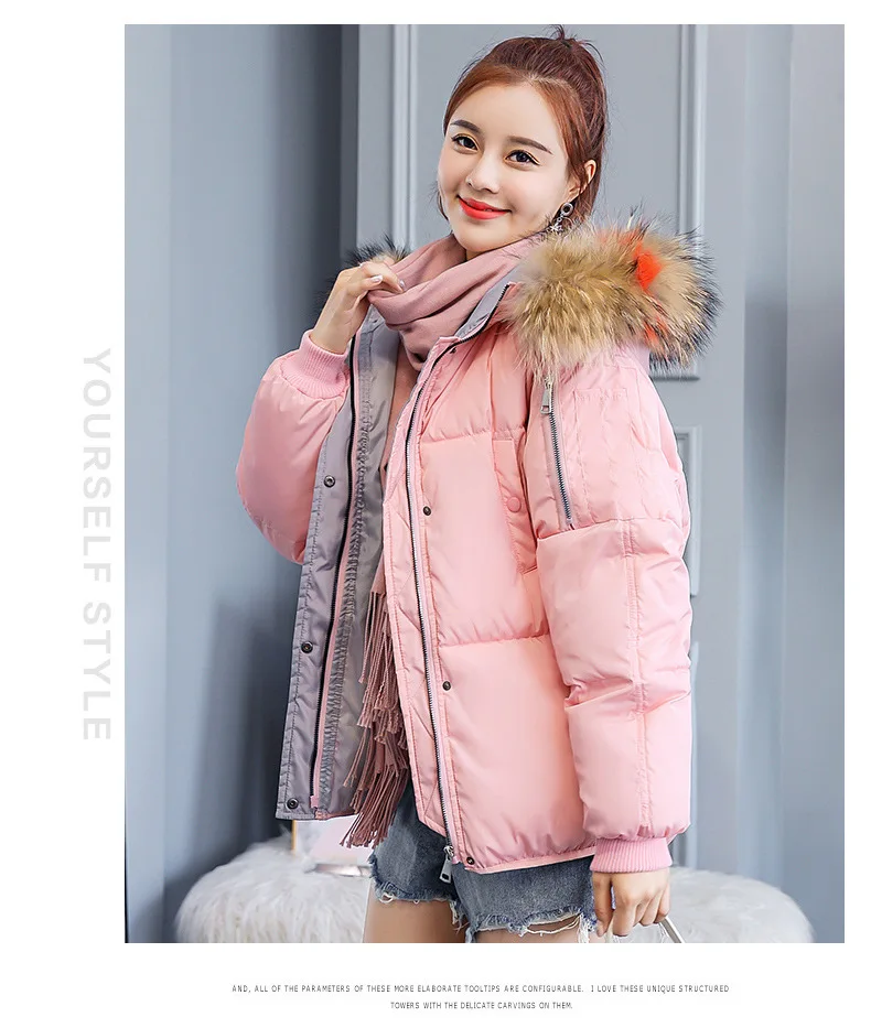 9093517365_1285180299