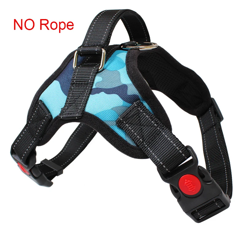 12343852666_1648768732