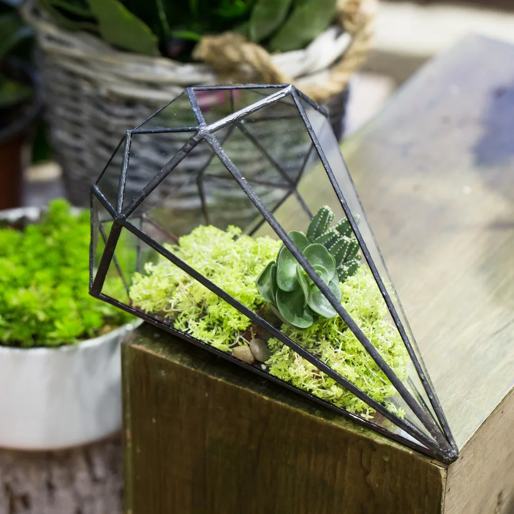 Rechteck Glas Geometrische Terrarium Box Tabletop Sukkulente Pflanzer 